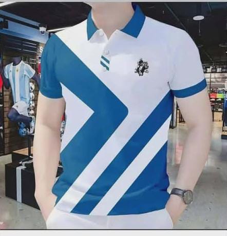 Super Premium Half Sleeve polo Shirts (B2043)